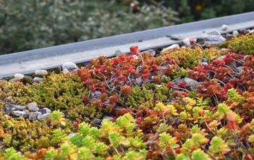 the cost of Derby green roof installation