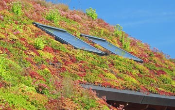 Derby living roof systems